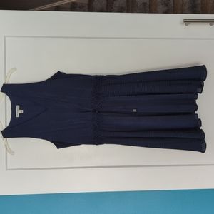 Navy Banana Republic Dress 12